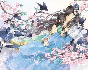 大象 官网